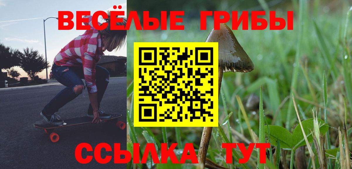Михайловск  цены наркотик  Вход с VPN  Галлюциногенные грибы Magic Shrooms 