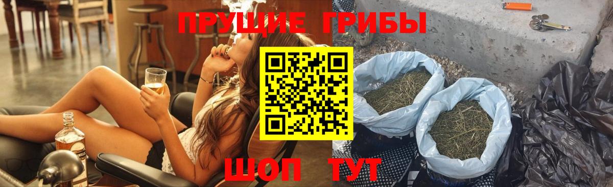 Псилоцибиновые грибы Psilocybine cubensis Михайловск